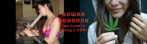 скорость Вяземский
