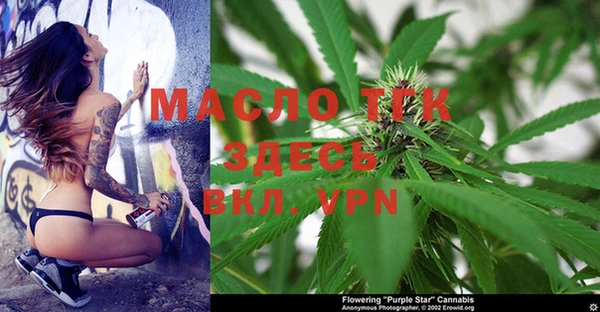 скорость Вяземский