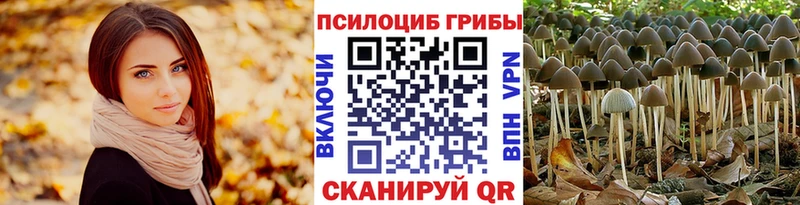 Псилоцибиновые грибы MAGIC MUSHROOMS  где продают наркотики  Котельники 